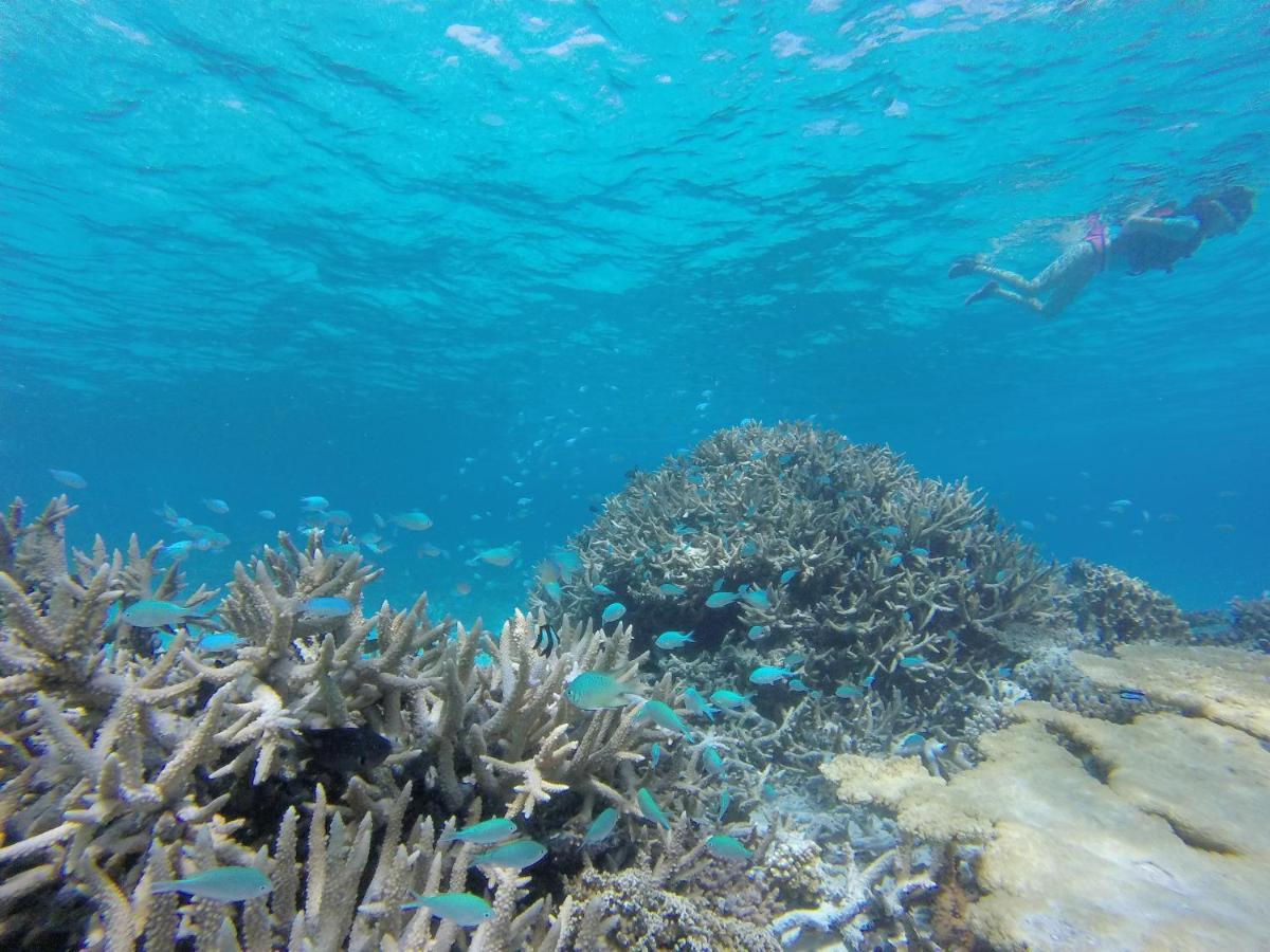 Sevinex Inn Feridhoo Dış mekan fotoğraf
