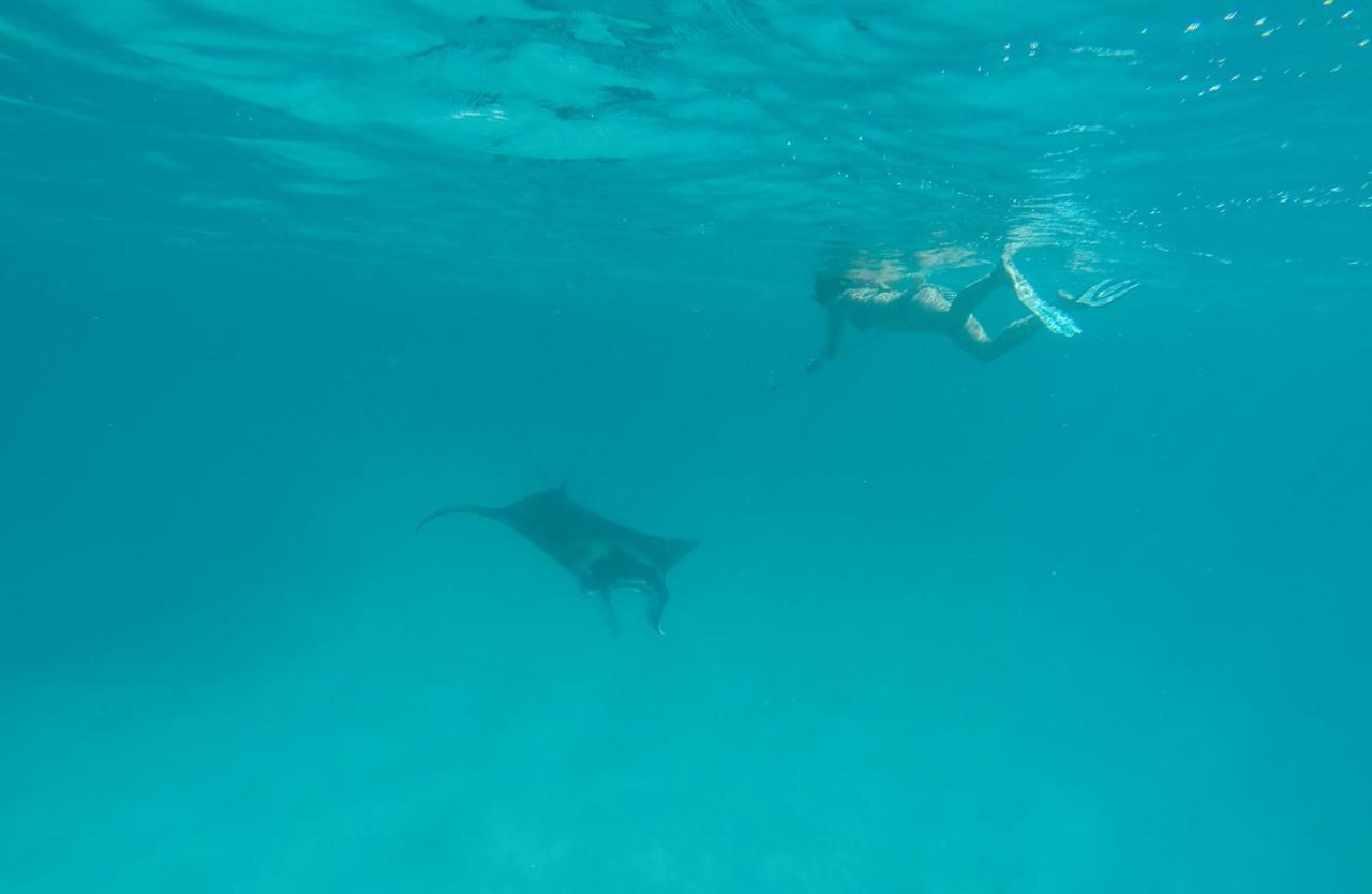 Sevinex Inn Feridhoo Dış mekan fotoğraf