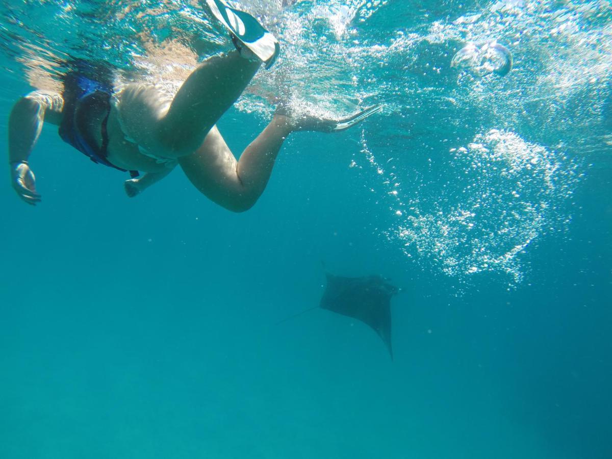 Sevinex Inn Feridhoo Dış mekan fotoğraf